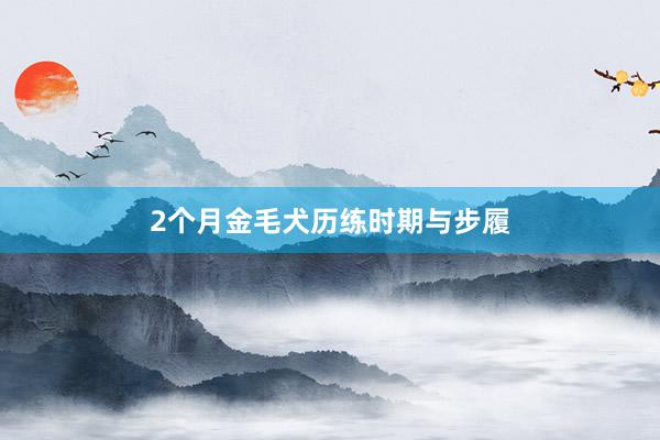 2个月金毛犬历练时期与步履