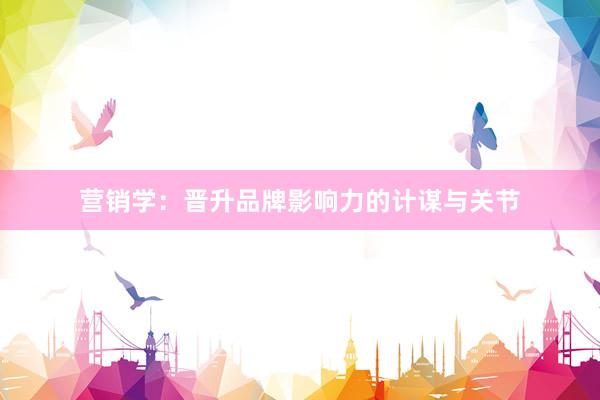 营销学：晋升品牌影响力的计谋与关节